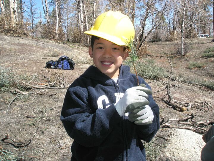 A young boy holding a tree sapling.